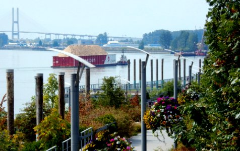 My Bit of the Fraser