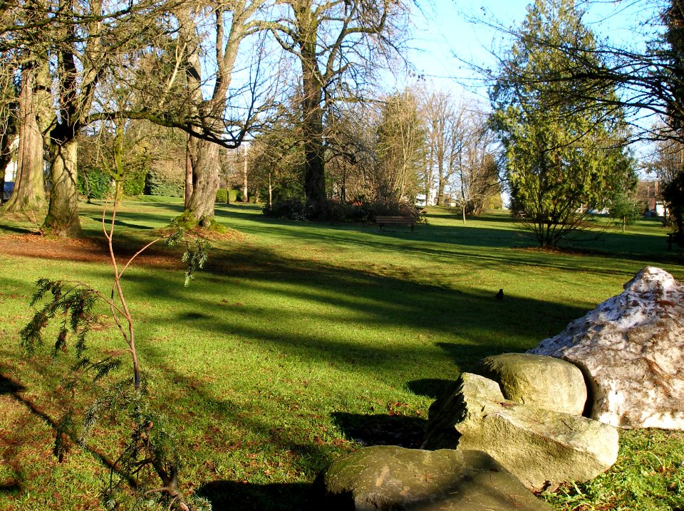 Our Parks in the Winter
