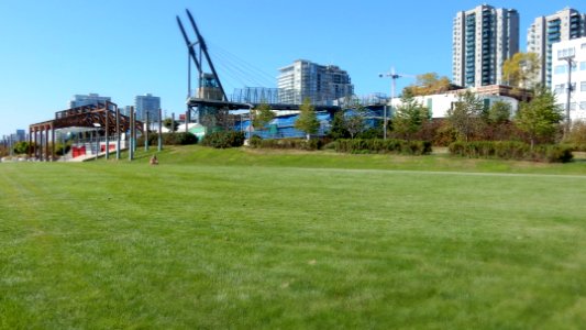 My Lawn