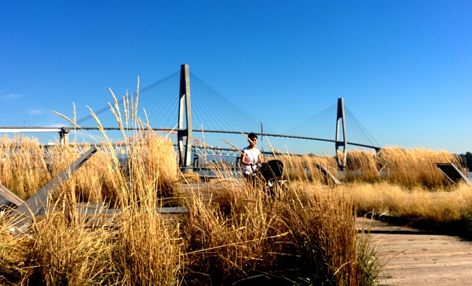 Pier Park in the Autumn