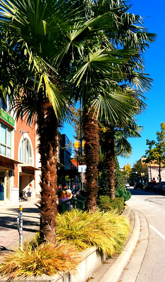Columbia Street