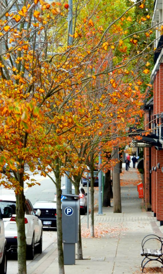More Fall