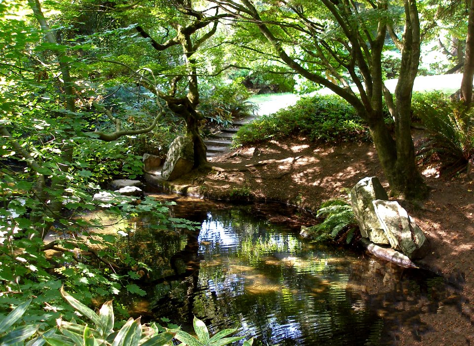 Pool at Tipperary Park