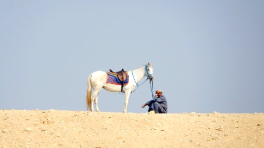 Morning at the Pyramids