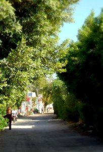 The Road