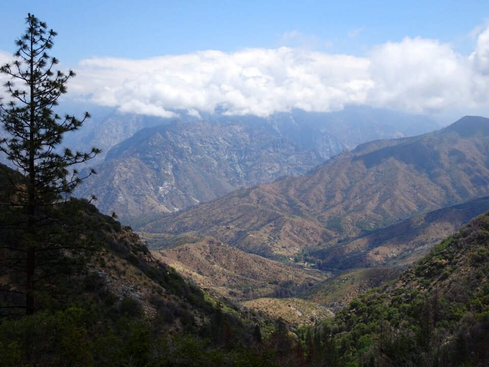 Landscape wilderness blue king