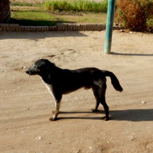 Neighbourhood Mut