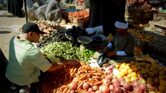 Carrots