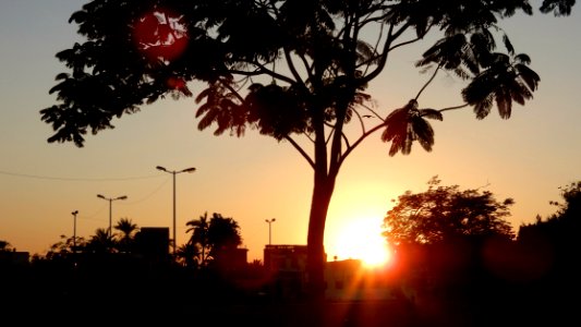 Sunset