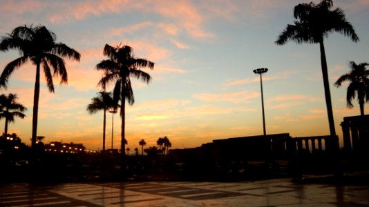 Plaza