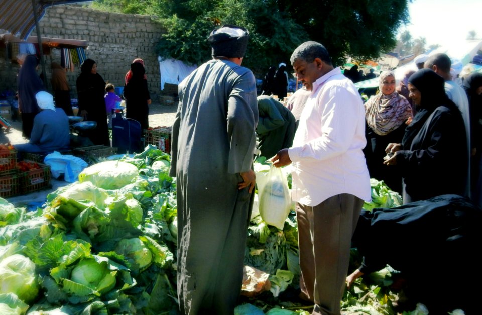 A Cabbage or Two