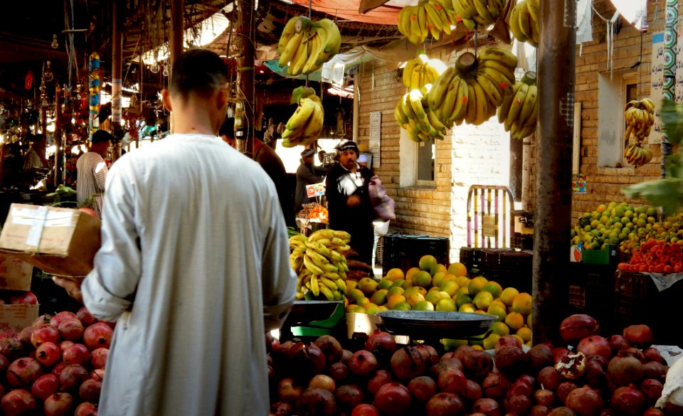 Fruit Shopping