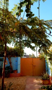 Closed Gate