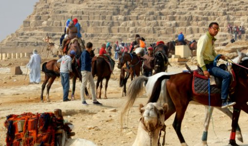 Morning at the Pyramids