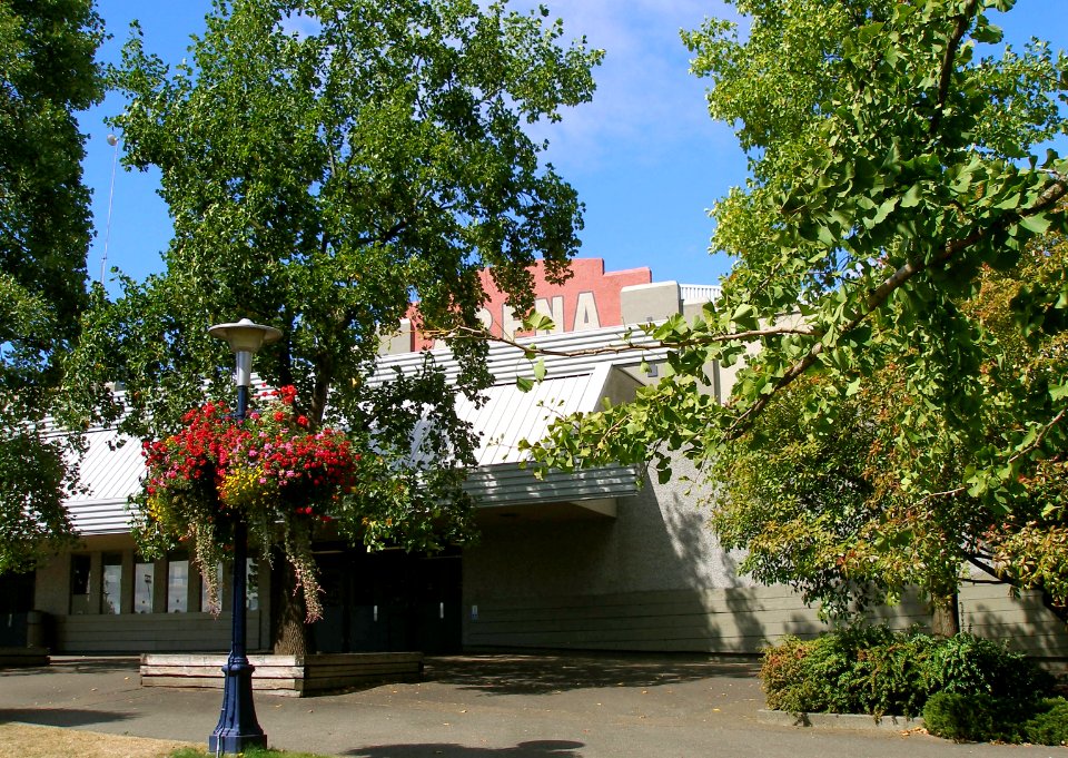An Arena In the Park