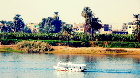 Over Processed