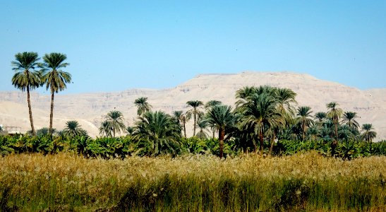 Luxor's West Bank photo