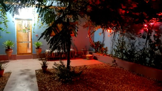 The Garden after Dark