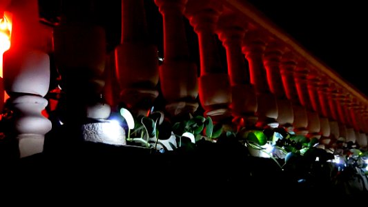 Christmas Lights