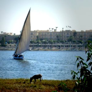 My Nile photo