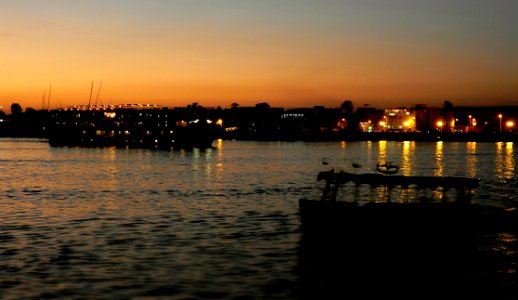 Night in the Nile