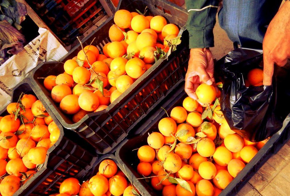 Juicing Oranges