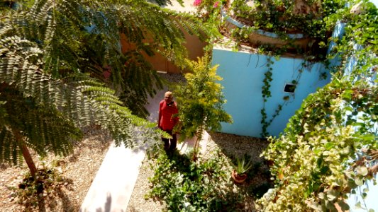 Garden 1/8