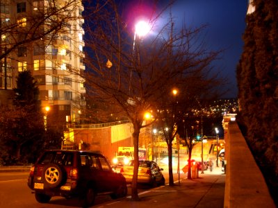 New Westminster-wood