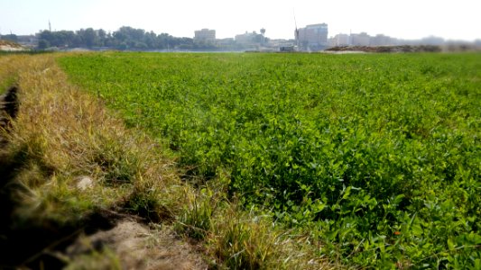 Green West Bank