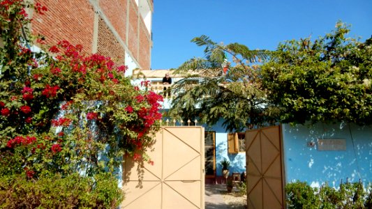 Garden 6/8