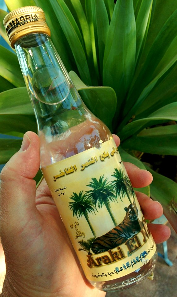 Date Palms?