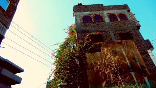 Four-Storey Bougainvillea
