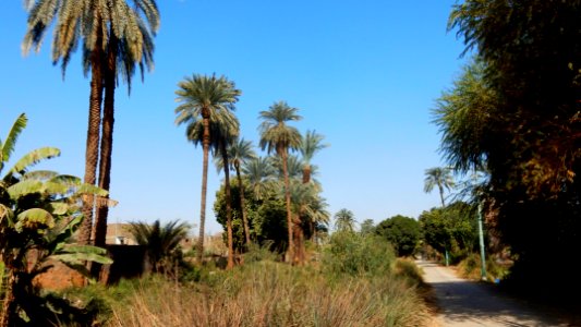 Road for Walking