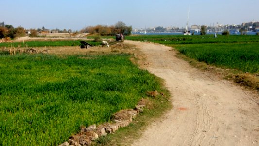 On a Walk
