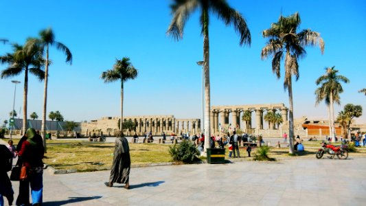 The Square