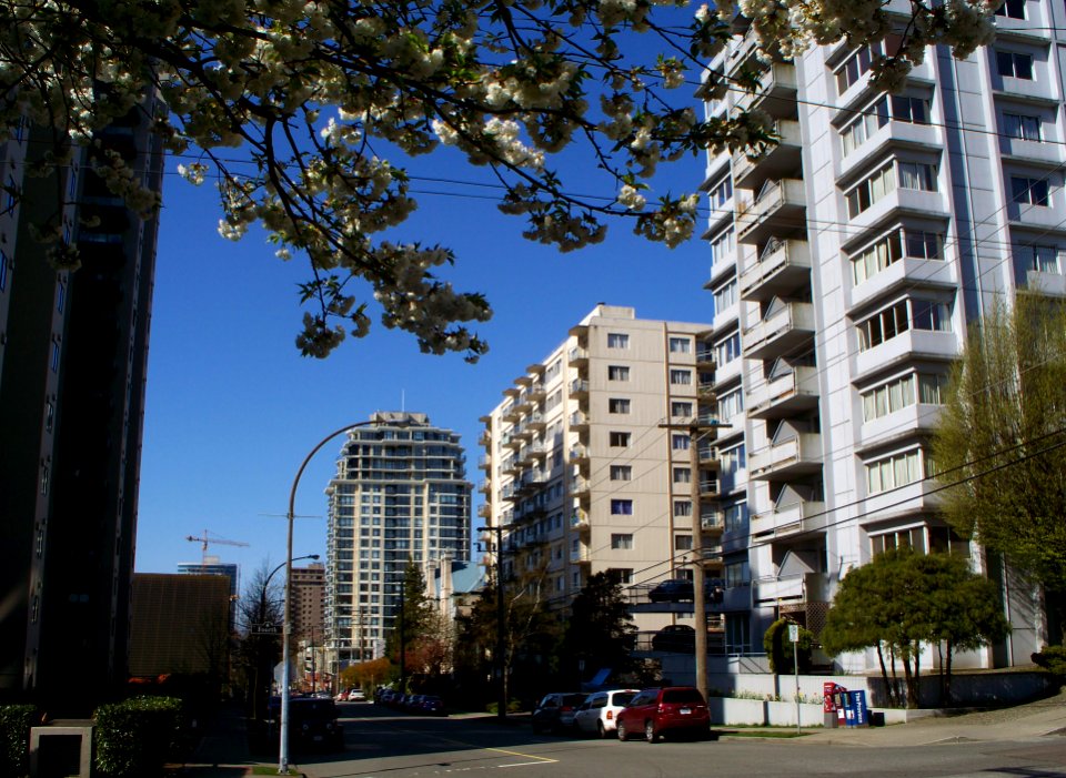 Building at the End of the Street