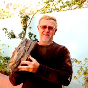 Petrified Wood