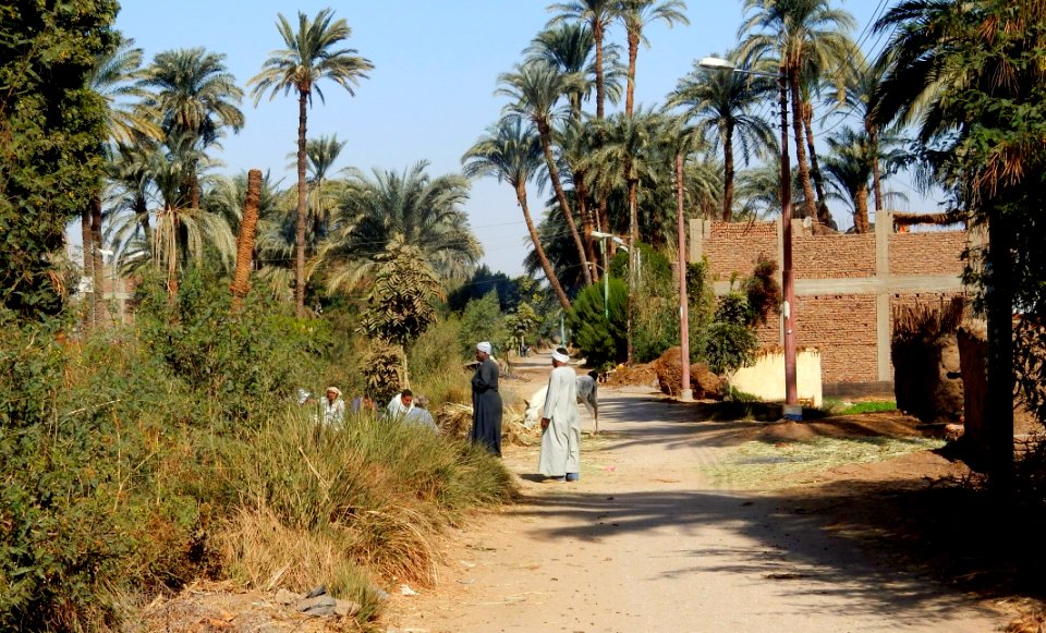 Near the Canal
