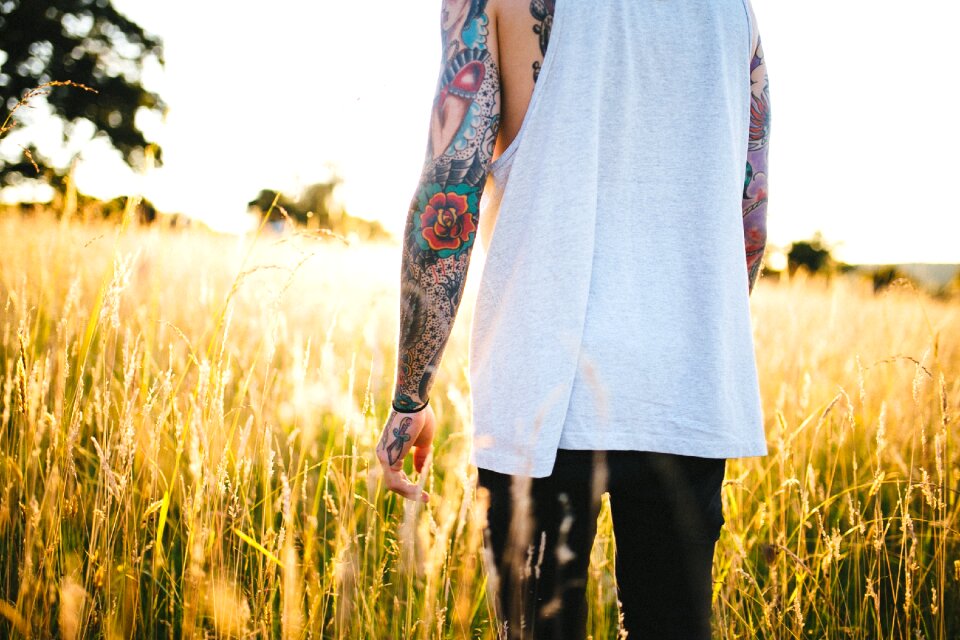 Field grass nature