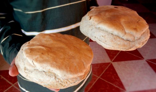 Bread