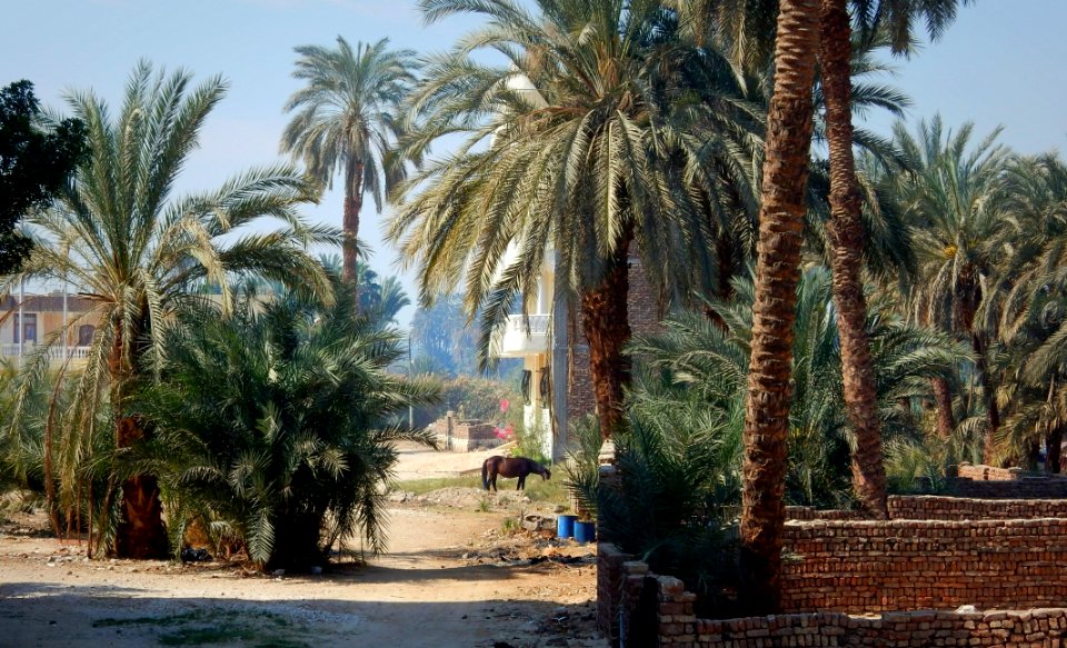 Bucolic