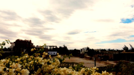 2016_01_27