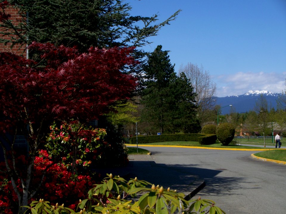 Royal Oak at BCIT