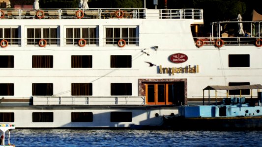 Cruise Ship Names