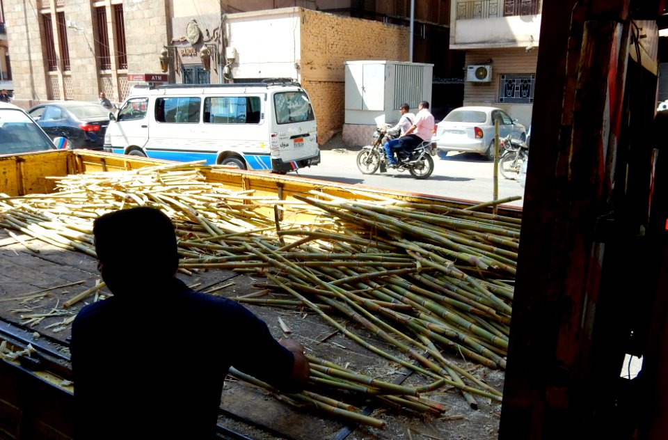 Sugarcane for Drinking