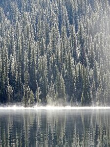 Shore light nature