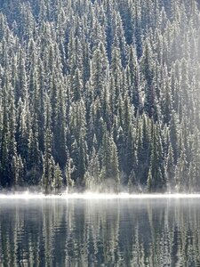 Shore light nature photo