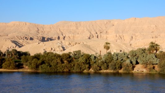 DSCN2704