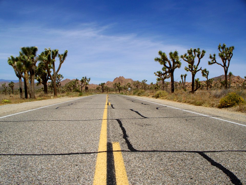 Joshua Tree National Park 2