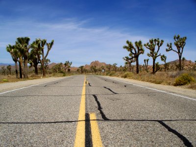 Joshua Tree National Park 2